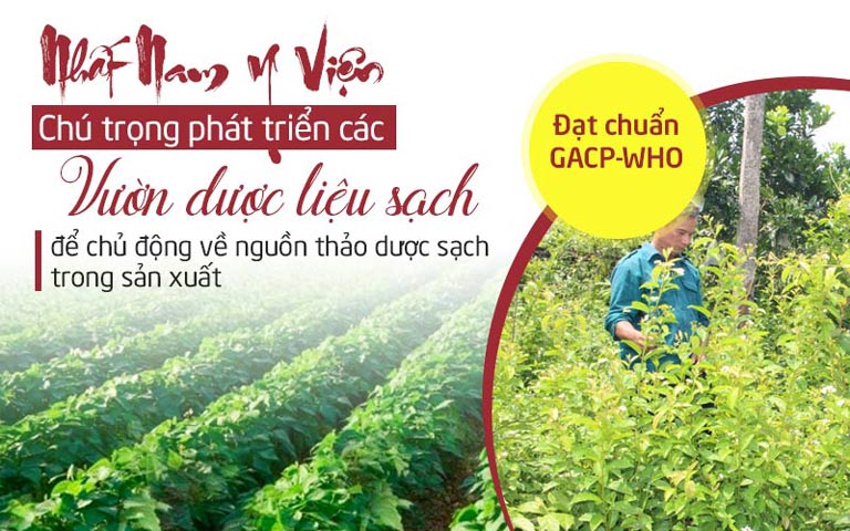 Trung tâm Da liễu Đông y Việt Nam chú trọng phát triển các vườn liệu sạch đạt chuẩn về chất lượng