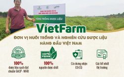Dược liệu Vietfarm