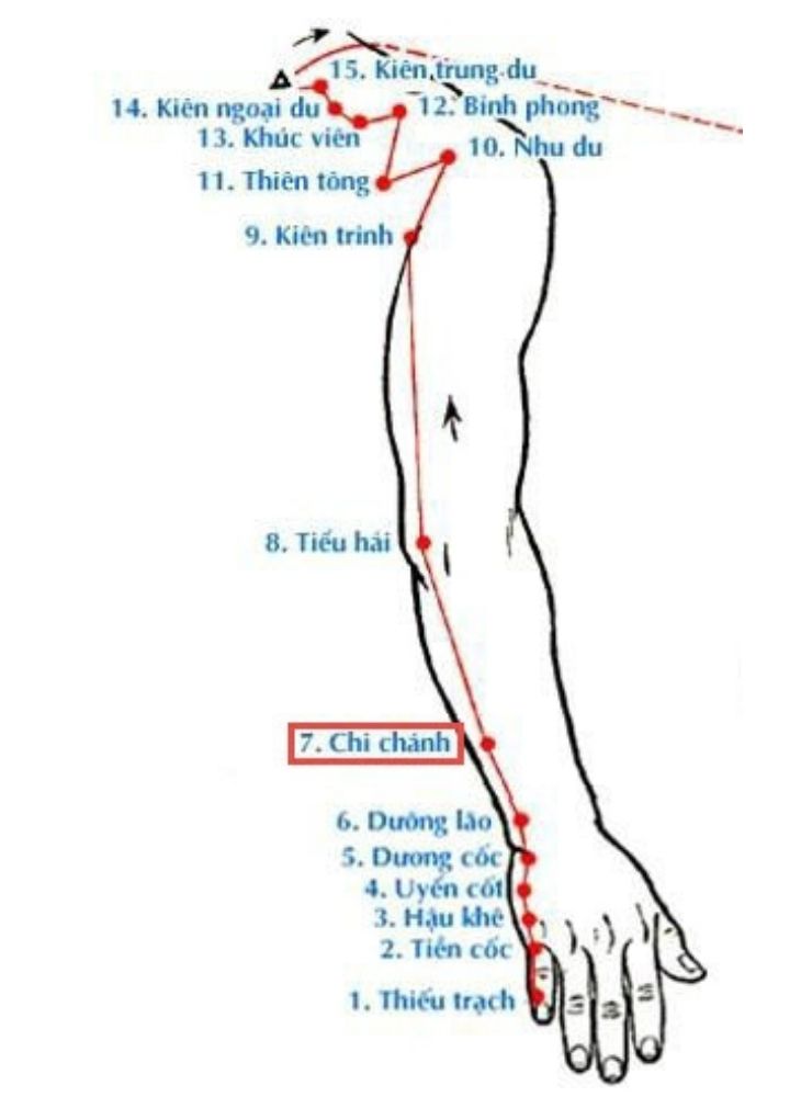 Cách xác định vị trí của Huyệt Tiểu Hải tại khuỷu tay