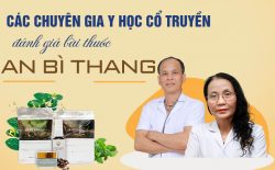 Bài thuốc An Bì Thang chữa viêm da cơ địa