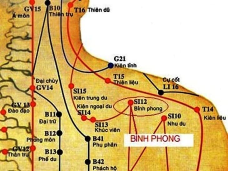 Huyệt Bỉnh Phong nằm ở vùng vai gáy