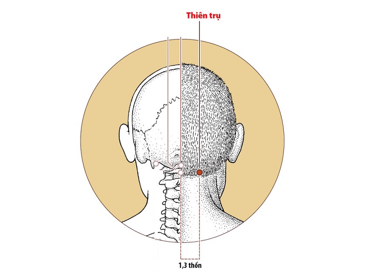 Huyệt nằm ở phía sau gáy, giữa tai và đầu cột sống