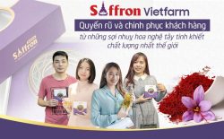 Saffron Vietfarm là thương hiệu phân phối nhuỵ hoa nghệ tây uy tín được đông đảo khách hàng lựa chọn