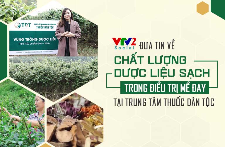 VTV2 đưa tin Trung tâm Thuốc dân tộc chủ động sử dụng thảo dược sạch trong bào chế thuốc