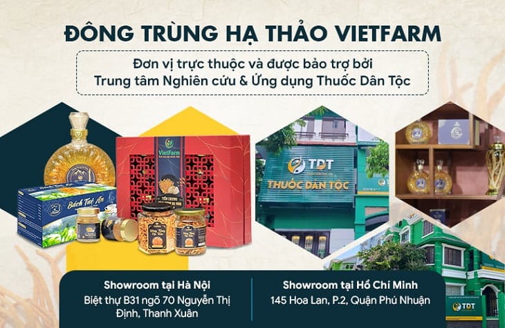 Đông trùng hạ thảo Vietfarm - Đơn vị cung cấp đông trùng hạ thảo số 1 Việt Nam