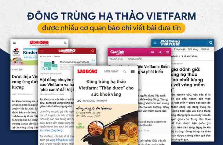 Nhiều kênh truyền thông, báo chí đánh giá cao về chất lượng Đông trùng hạ thảo Vietfarm