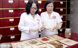 Bác sĩ Vân Anh và bác sĩ Lê Phương cùng nhau nghiên cứu thành phần thảo dược