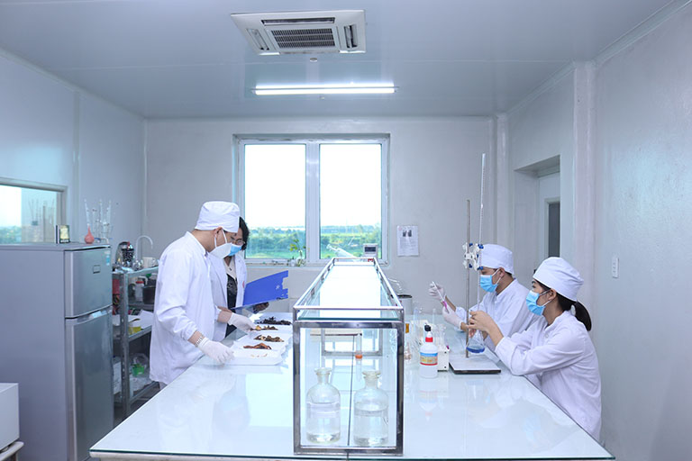 Đội ngũ bác sĩ nghiên cứu về thảo dược tại nhà máy
